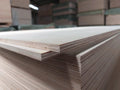 Ultra-Lite Lightweight Plywood For Camper Vans