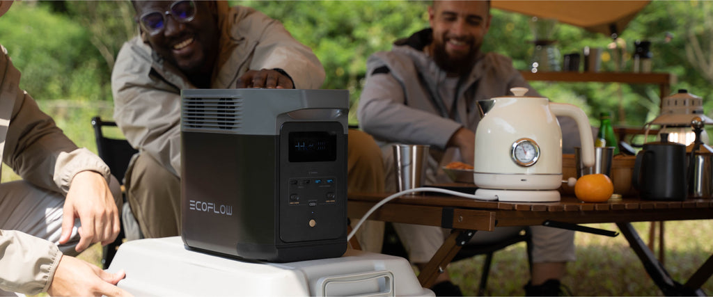 ECOFLOW DELTA 2
